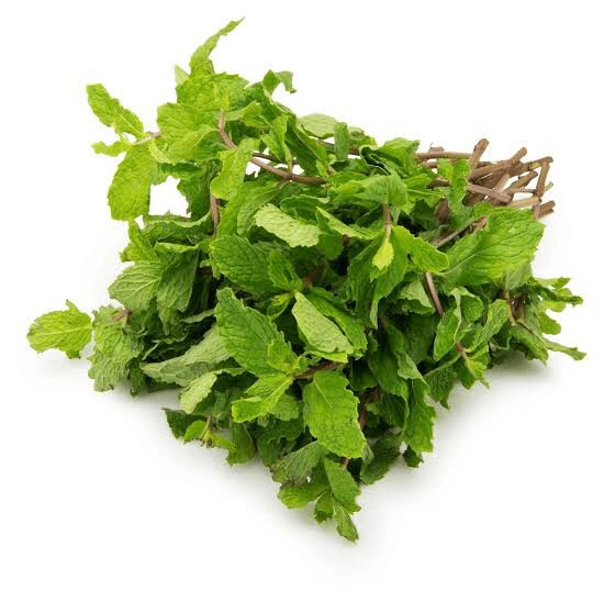 Mint Leave(Pudina)