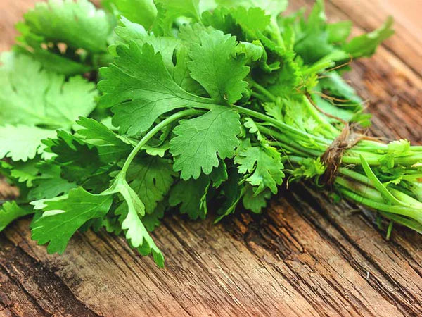 Coriander(Dhaniya)