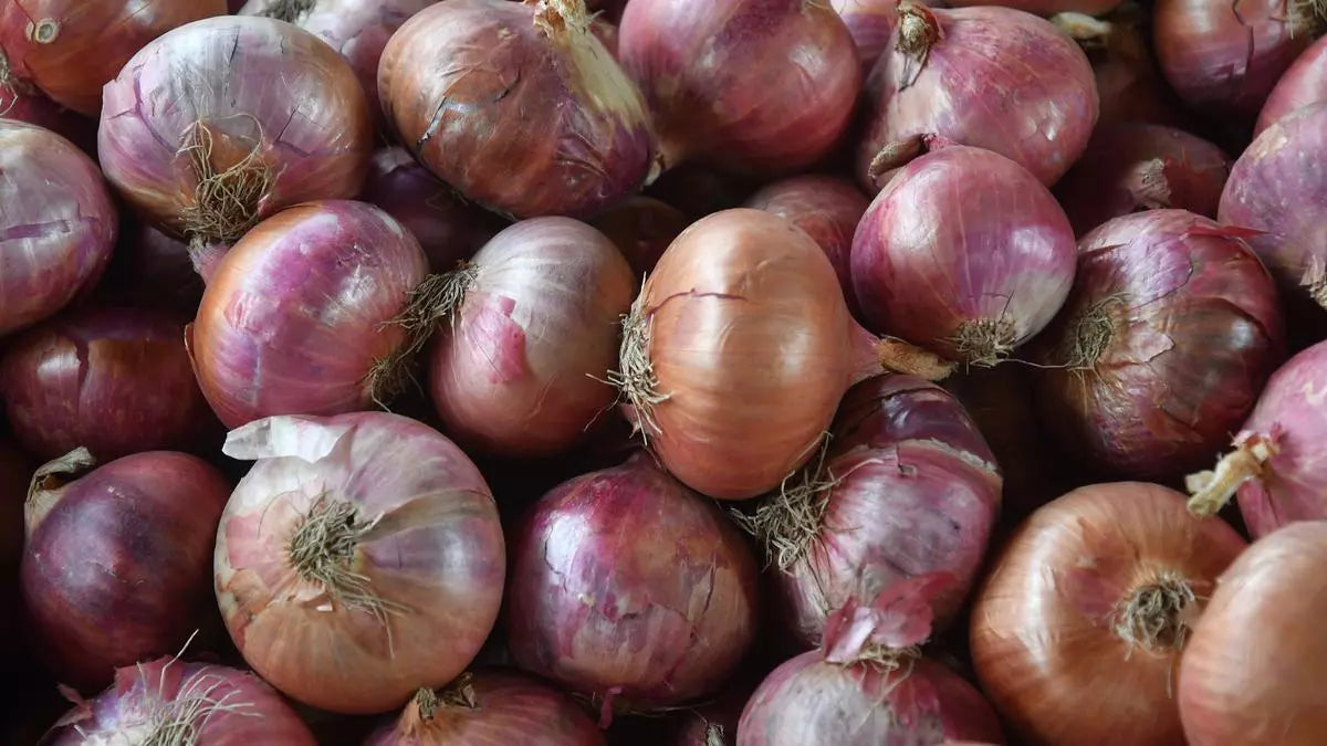 Onion/ Pyaaz(2kg)