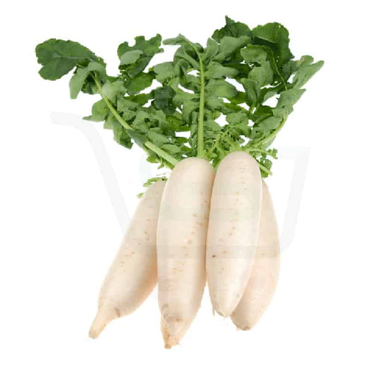 Radish(Moollee)