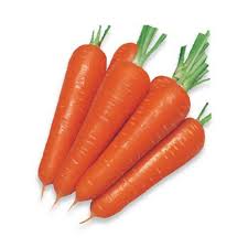 Carrot (Gajar)