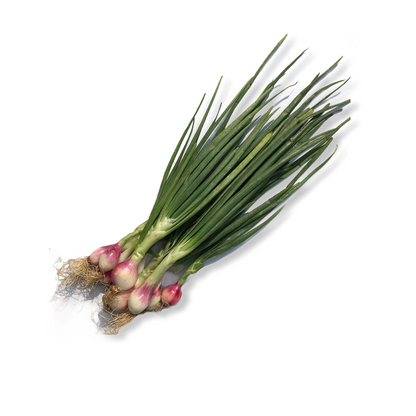 Sprinkle Onion(Haree Pyaaj)