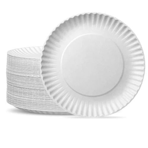 Disposable Plates Big (25pcs aprox)