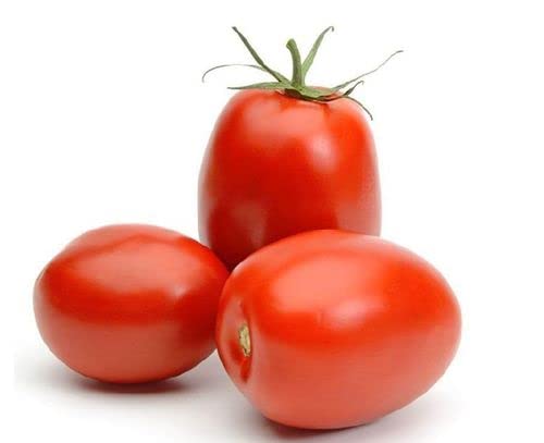 Tomato(Bombay)