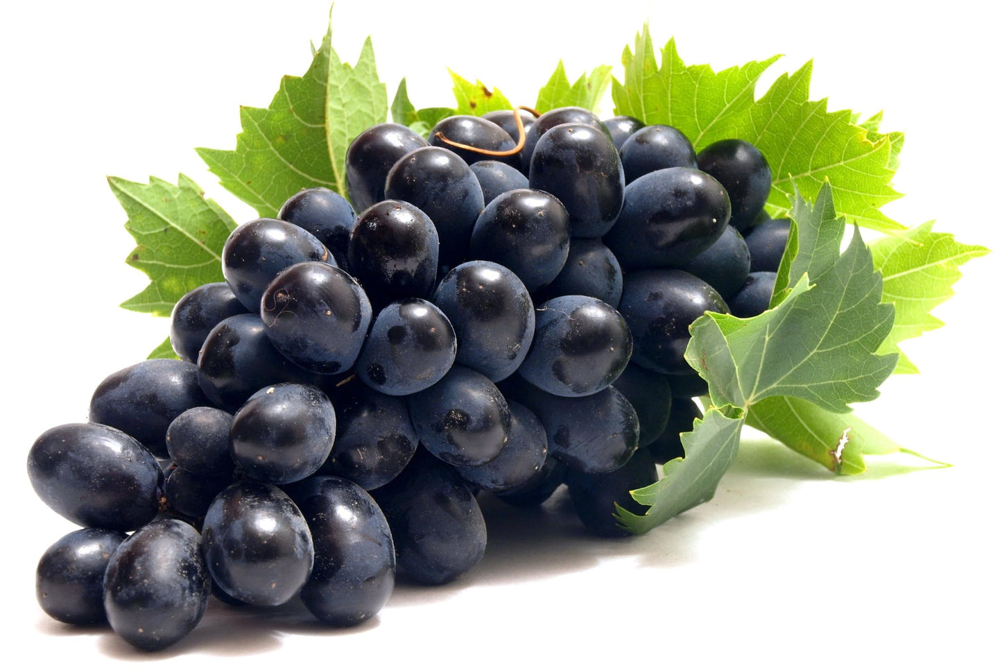 Black Grapes(Kaale Angoor)