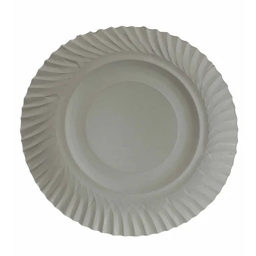 Disposable Plates Big (25pcs aprox)