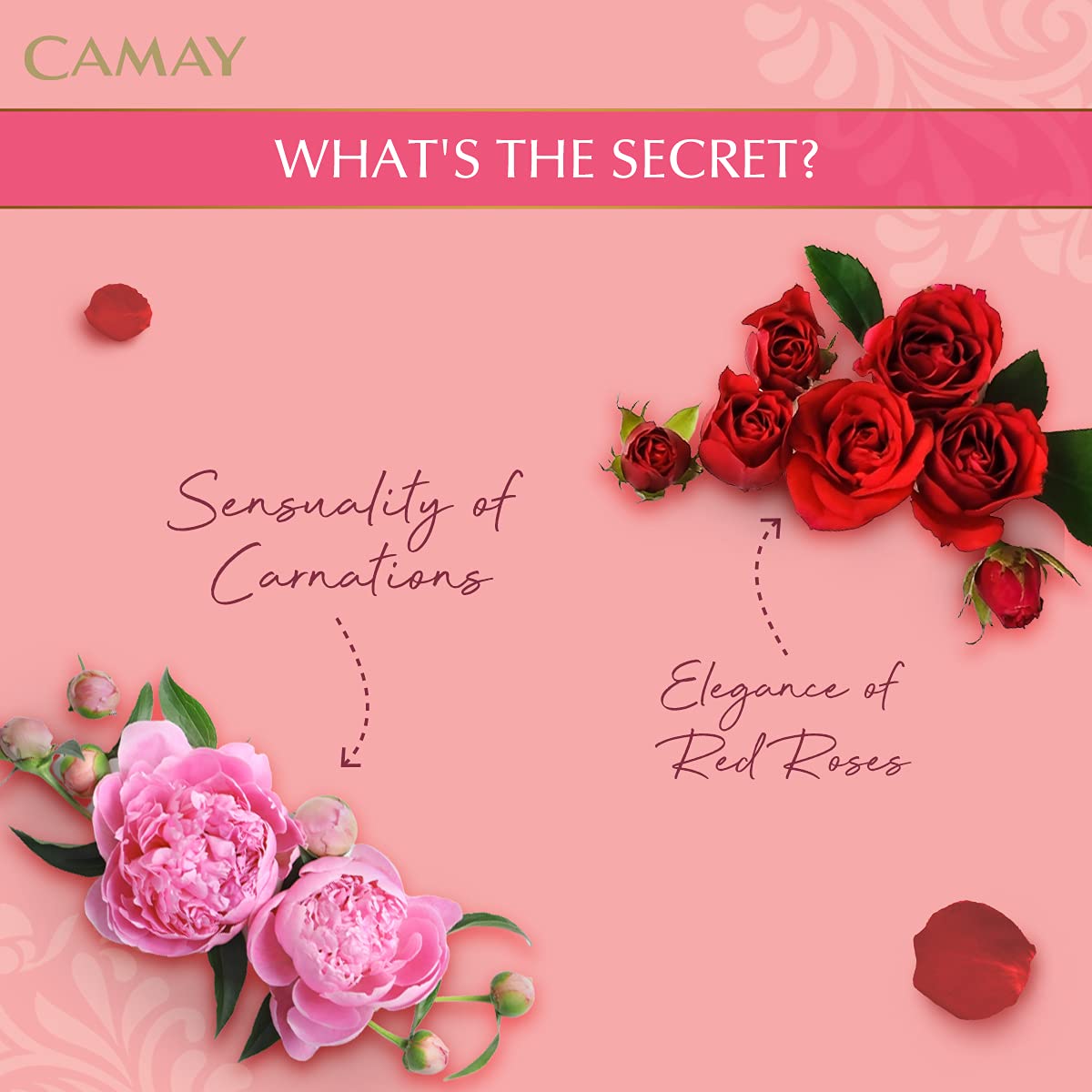 CAMAY CLASSIC INTERNATIONAL BEAUTY BAR WITH SENSUAL SCENT (3nx125gm)