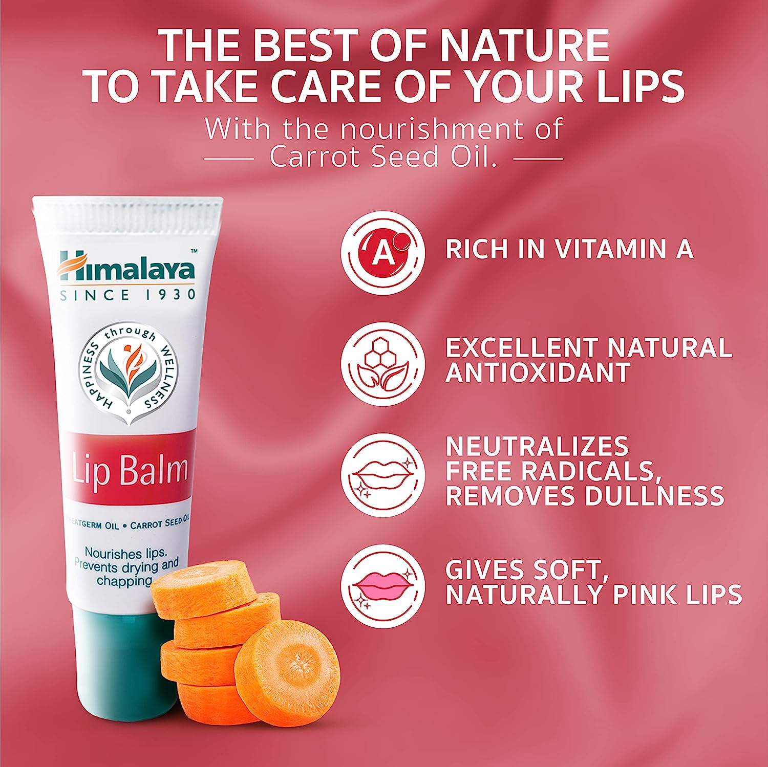 Himalaya 2024 baby lips