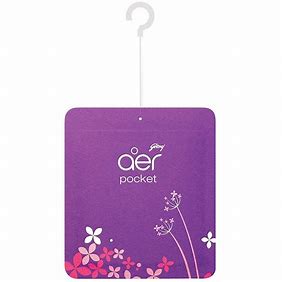 GODREJ AER POCKET LAVENDER BLOOM (10gm)